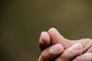 Small Leadership Habits That Inspire Big Results